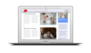 Nejkrásnějšíbydlení.cz 